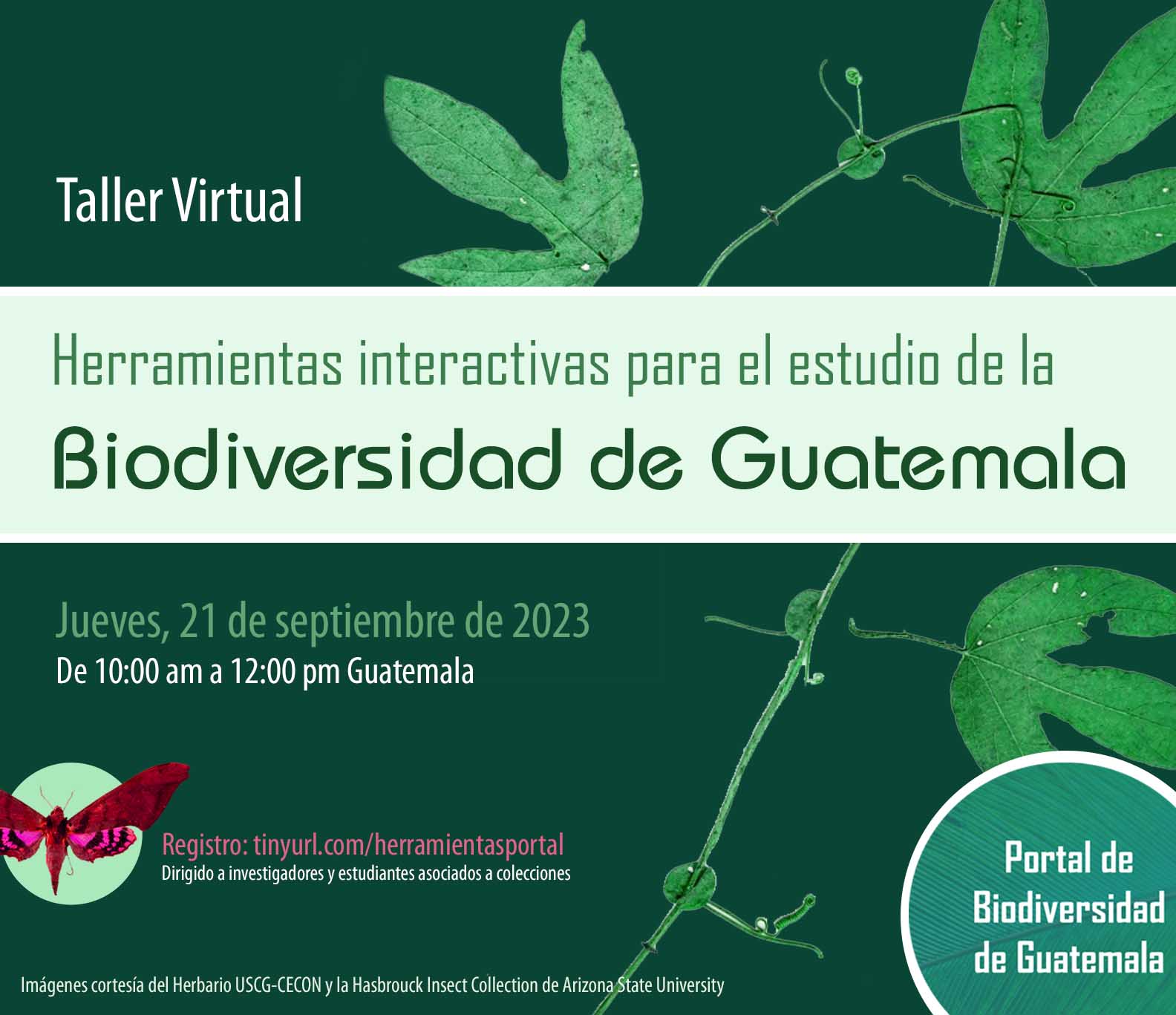 Herramientas interactivas para el estudio de la Biodiversidad de Guatemala